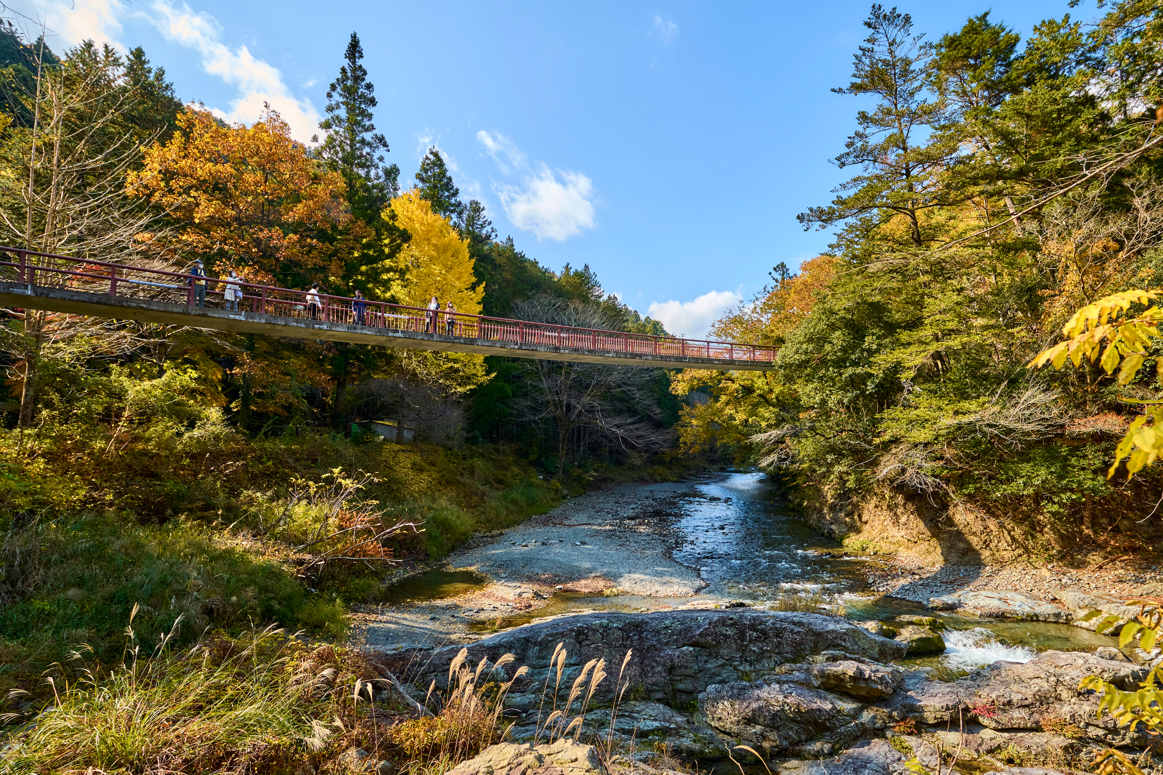 Tama Vicinity (other areas)